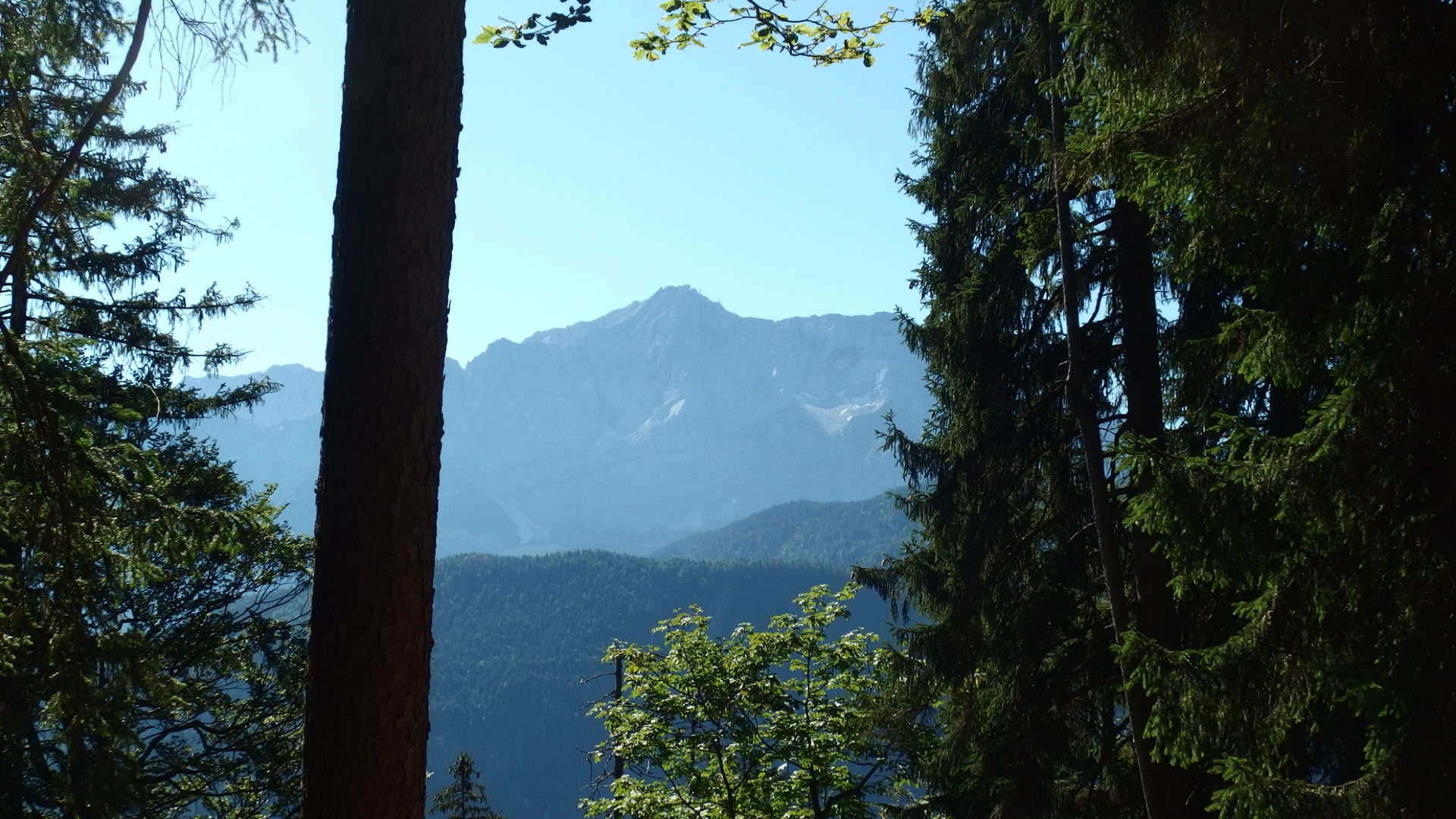 Schellschlicht Blick Zugspitze